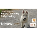 Puppy coaching