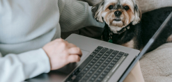 Hond kijkend in de camera naast een computer voor hondenras