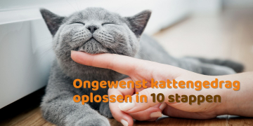 Ongewenst kattengedrag
