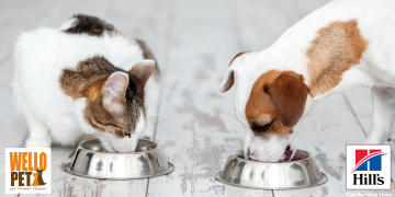 dierenvoeding