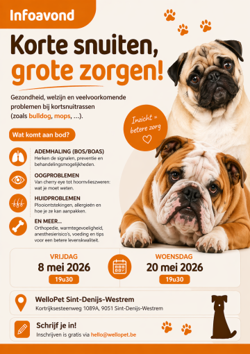 korte snuiten, grote zorgen