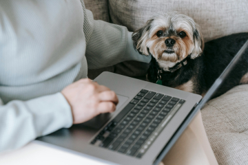Hond kijkend in de camera naast een computer voor hondenras