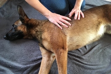 massagetherapie en bewegingstherapie