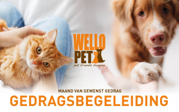 Maand van het gewenst gedrag