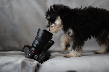 Fotoshoot
