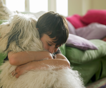 Hond rouw