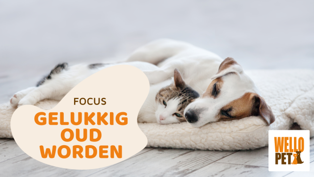 gelukkig oud worden gelukkig oud worden