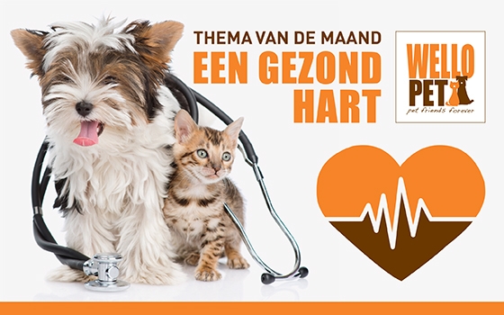 Thema van de maand februari: een gezond hart thema van de maand: een gezond hart promotieafbeelding